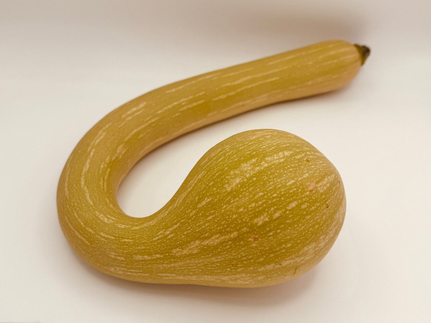 Yellow squash on a white background