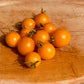 Tumbling Tom Yellow Tomato - Organic - Greta's Family Gardens