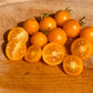 Tumbling Tom Yellow Tomato - Organic - Greta's Family Gardens