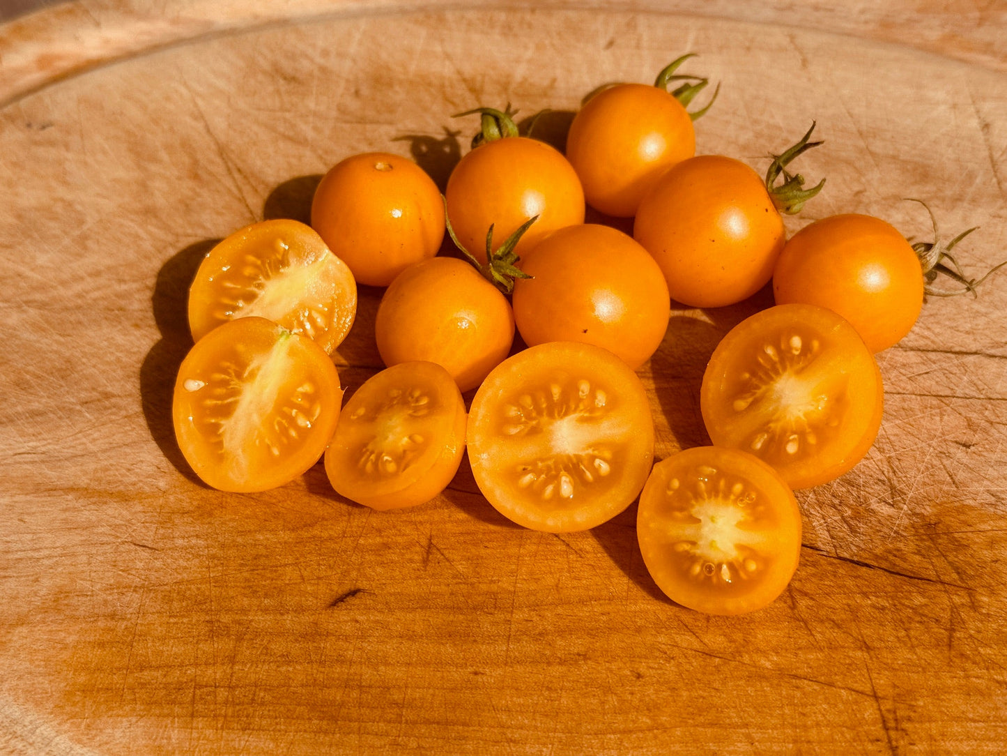 Tumbling Tom Yellow Tomato - Organic - Greta's Family Gardens