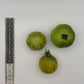 Vernissage Green tomato - Greta's Family Gardens
