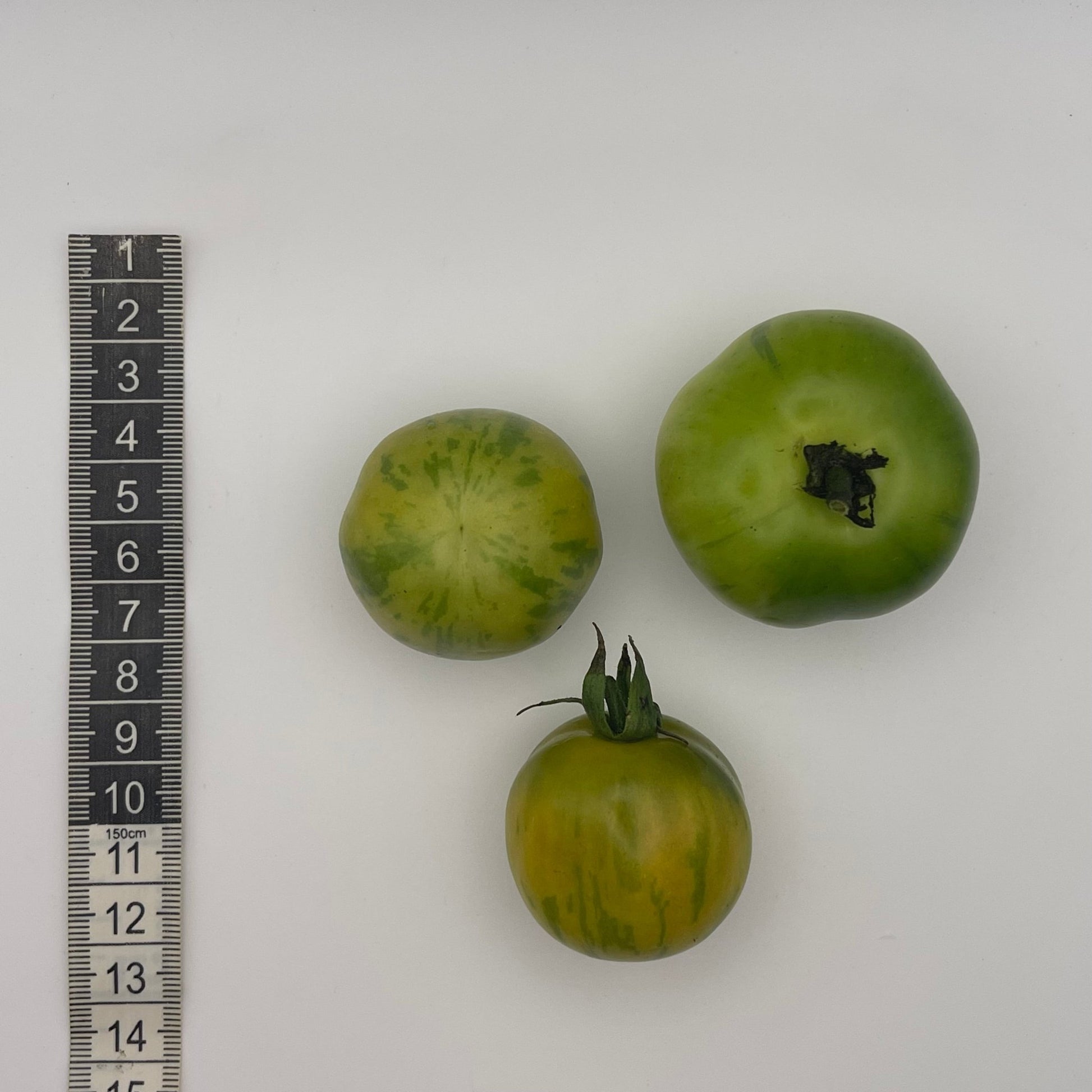 Vernissage Green tomato - Greta's Family Gardens