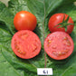 Ottawa 39 Tomato
