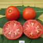 Bizhiki Greenhouse Tomato