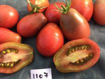 Evan's Purple Pear Tomato