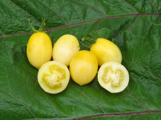 Yellow Grape Tomato