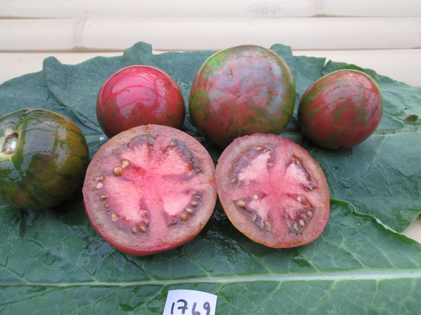 Pink Boar Tomato