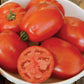 Oregon Star Tomato
