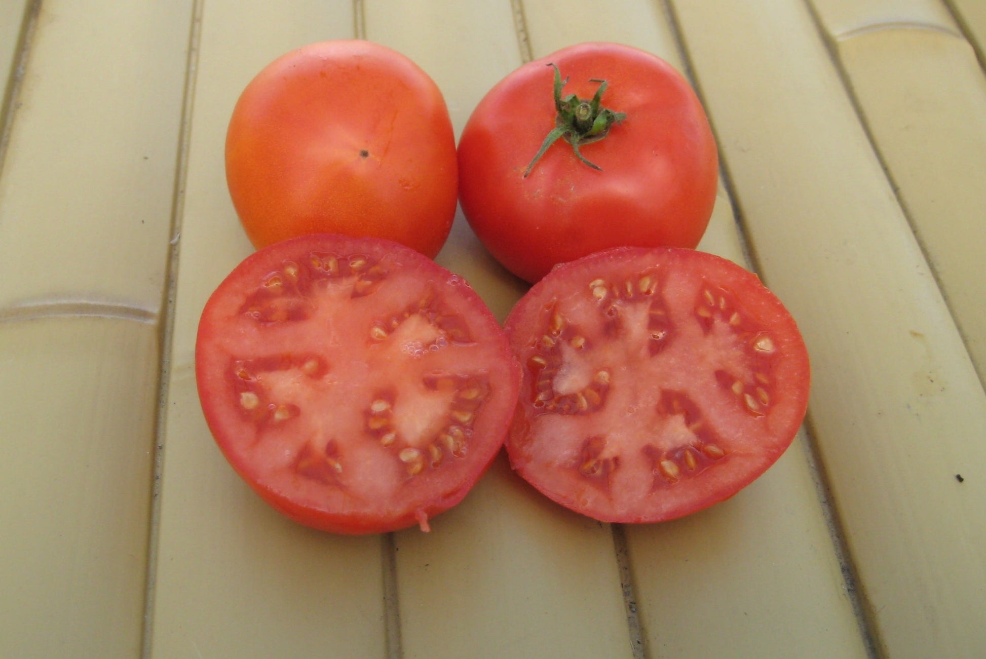 Wisconsin 55 Tomato