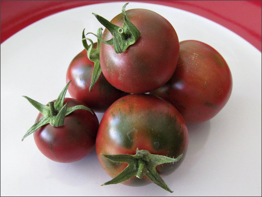 Violet Jasper Tomato