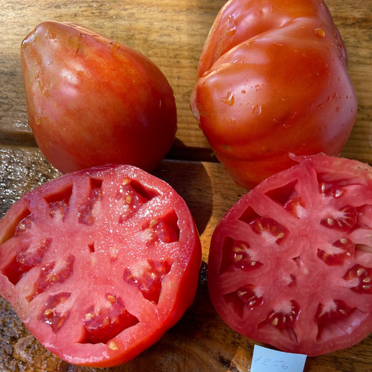Abruzzese Red Pear Tomato