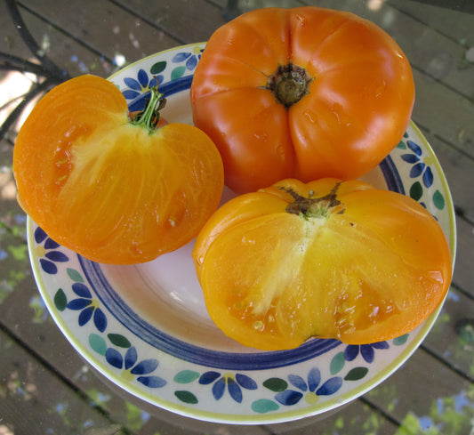 Tangerine Tomato