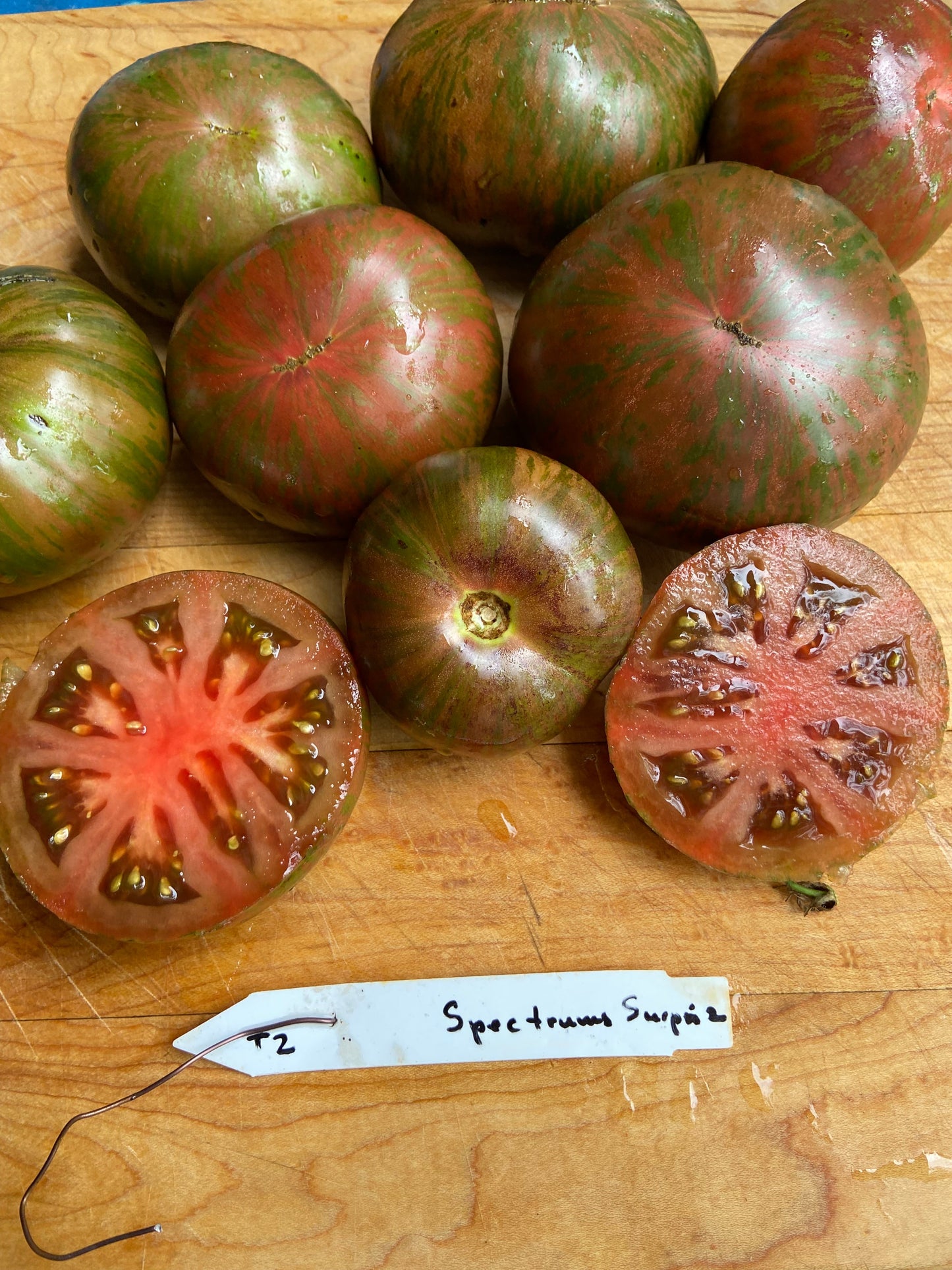Spectrums Surpriz tomato
