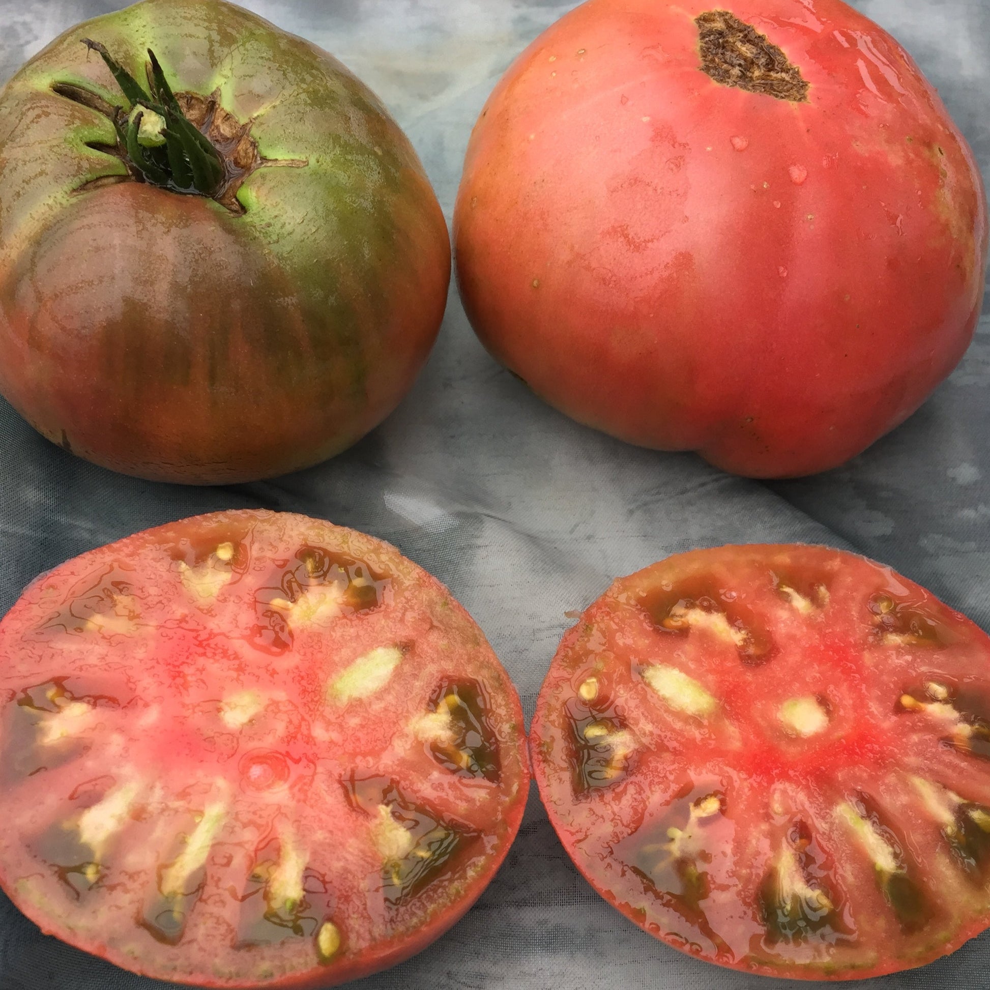 Rosella Purple Tomato