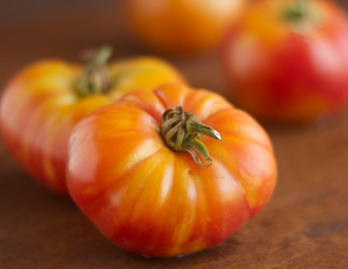 Candy Stripe Tomato