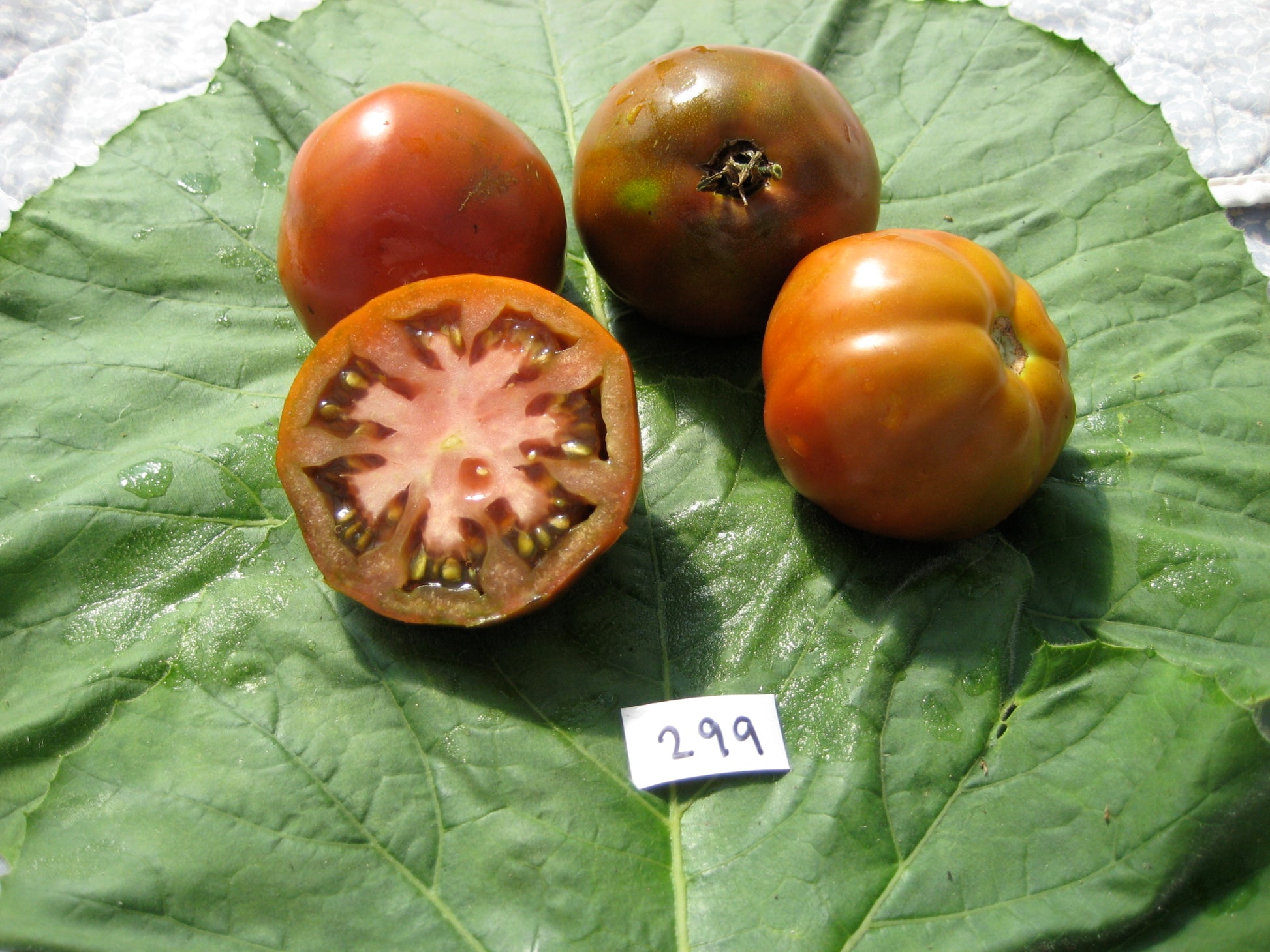 Japanese Black Trifele Tomato