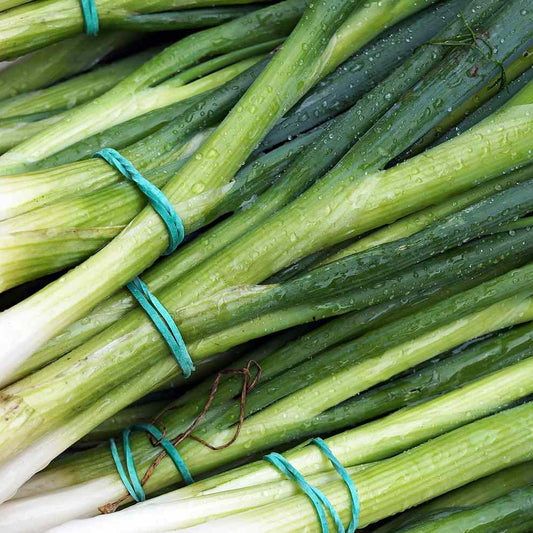 Green Onions
