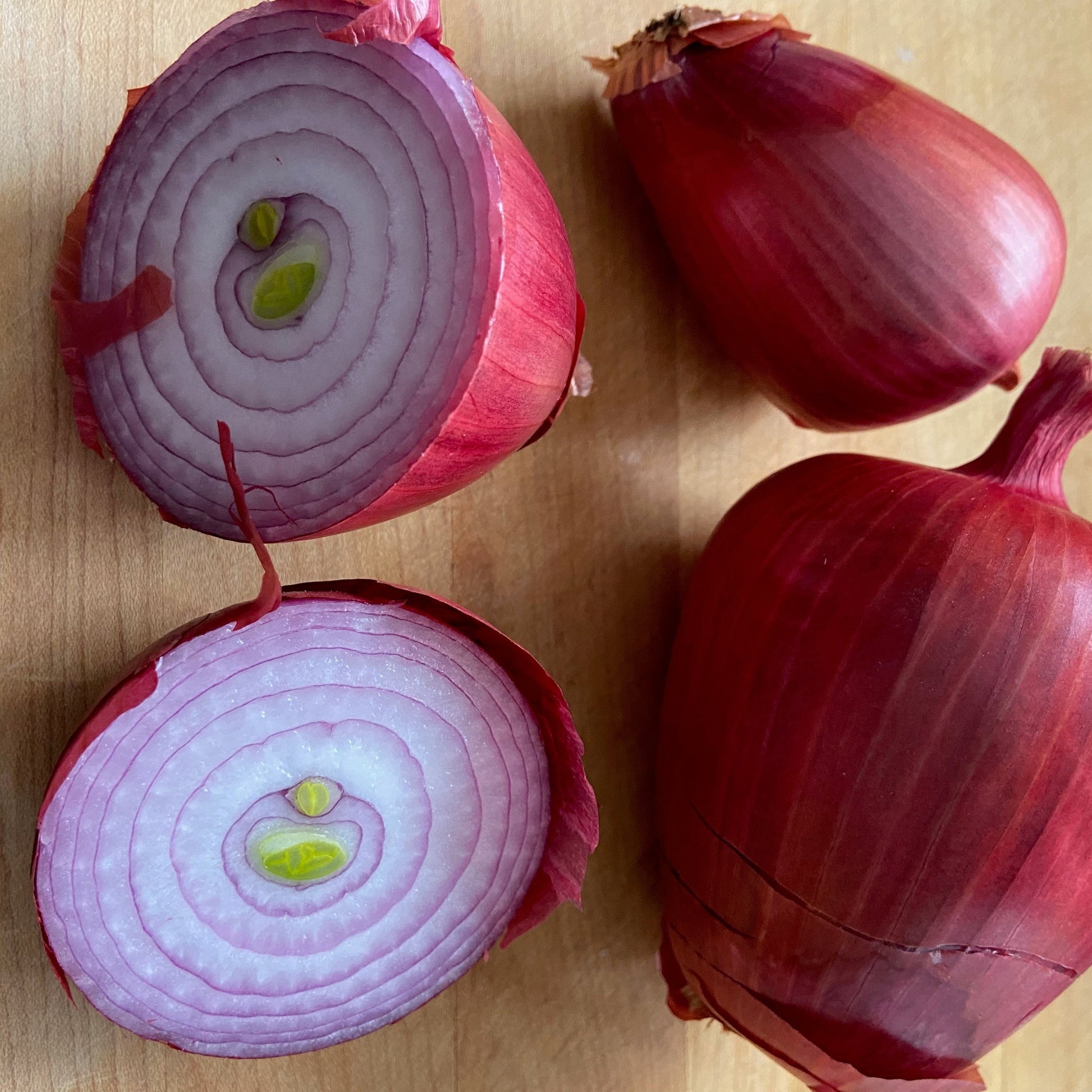 Rossa di Milano Onions