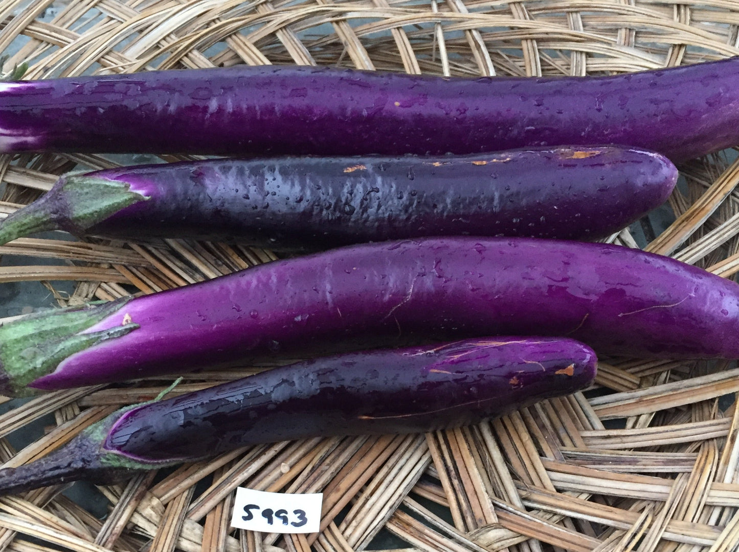 Ping Tung Long Eggplant