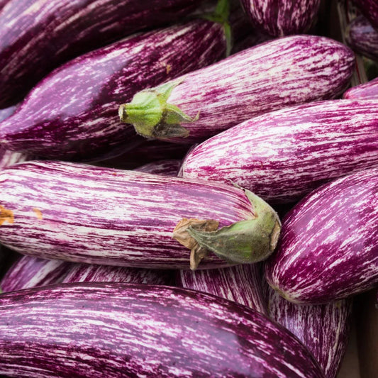 Tsakoniki Eggplant