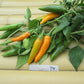 Bulgarian Carrot Hot Pepper