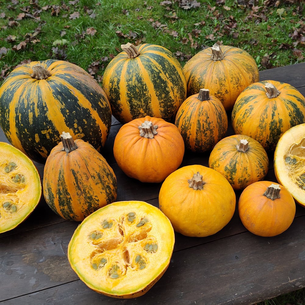 CITROUILLES