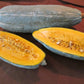 Guatamalan Blue Banana Squash - Greta's Family Gardens