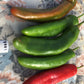 Pepper Anaheim - Organic - Greta's Family Gardens