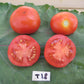 Polish Dwarf Tomato - Greta's Family Gardens