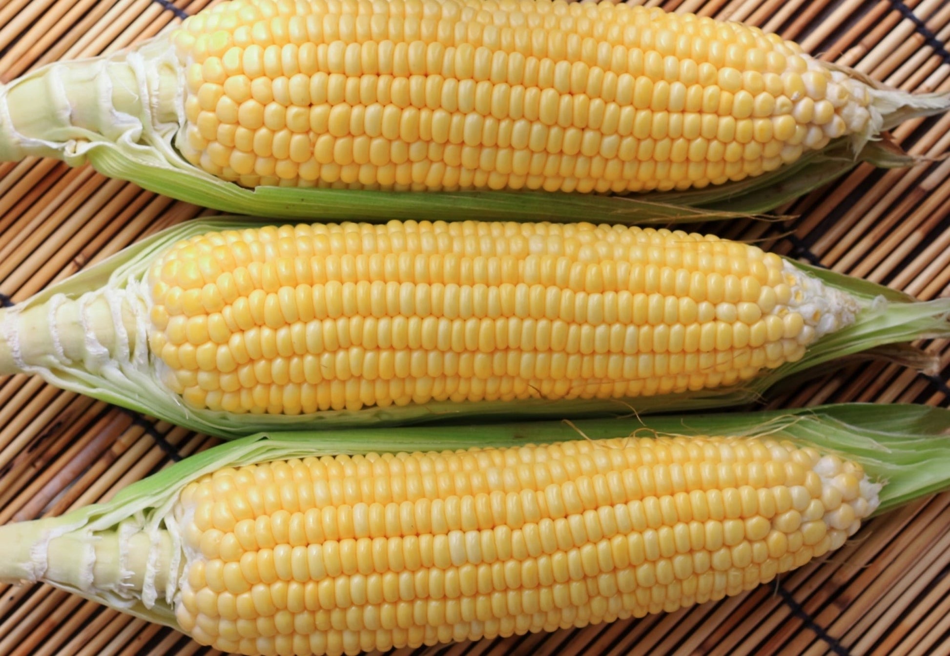 Sugar Buns Corn - Greta's Family Gardens